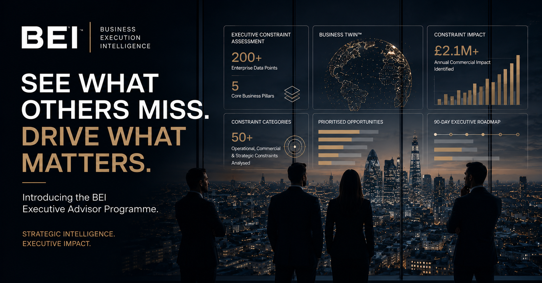 BEI Executive Partner