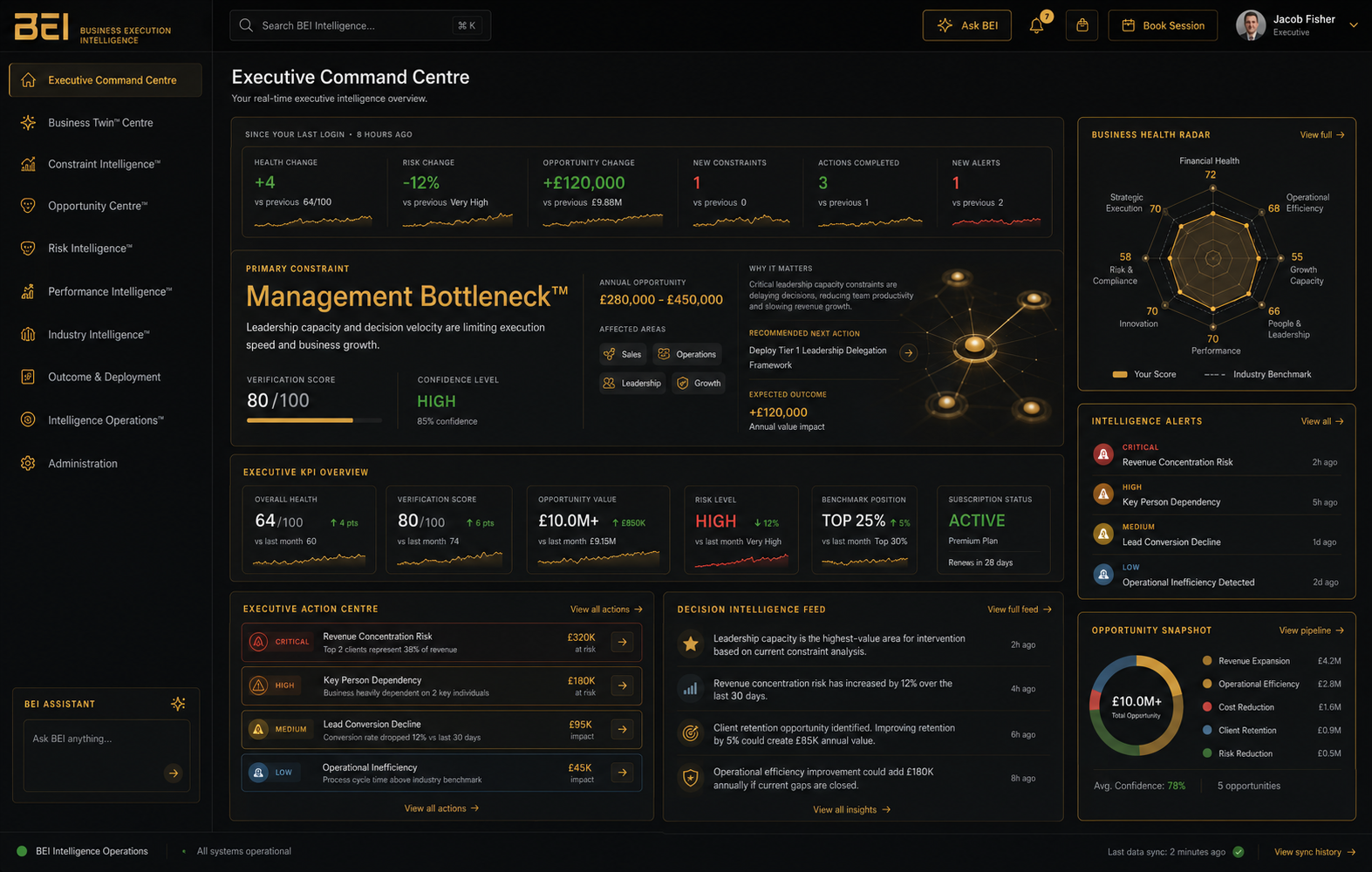 BEI Executive Dashboard